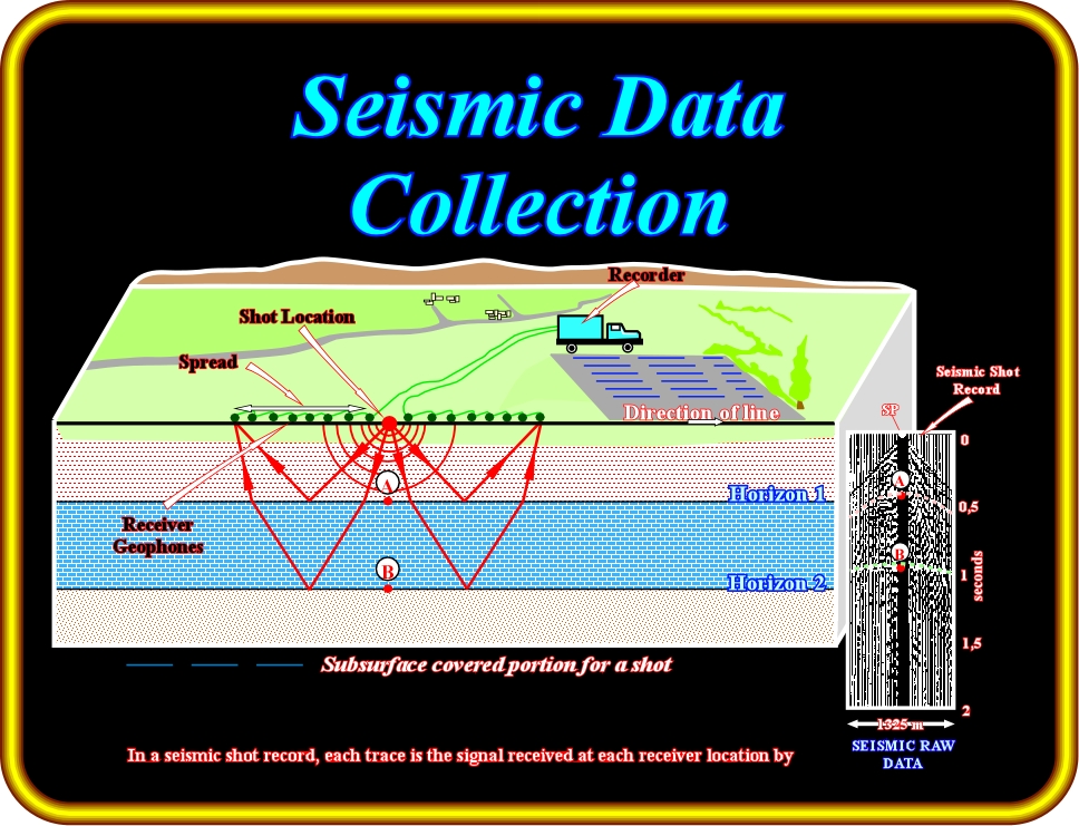 seismic data processing software